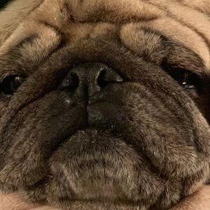 Meet your Posher, Evan